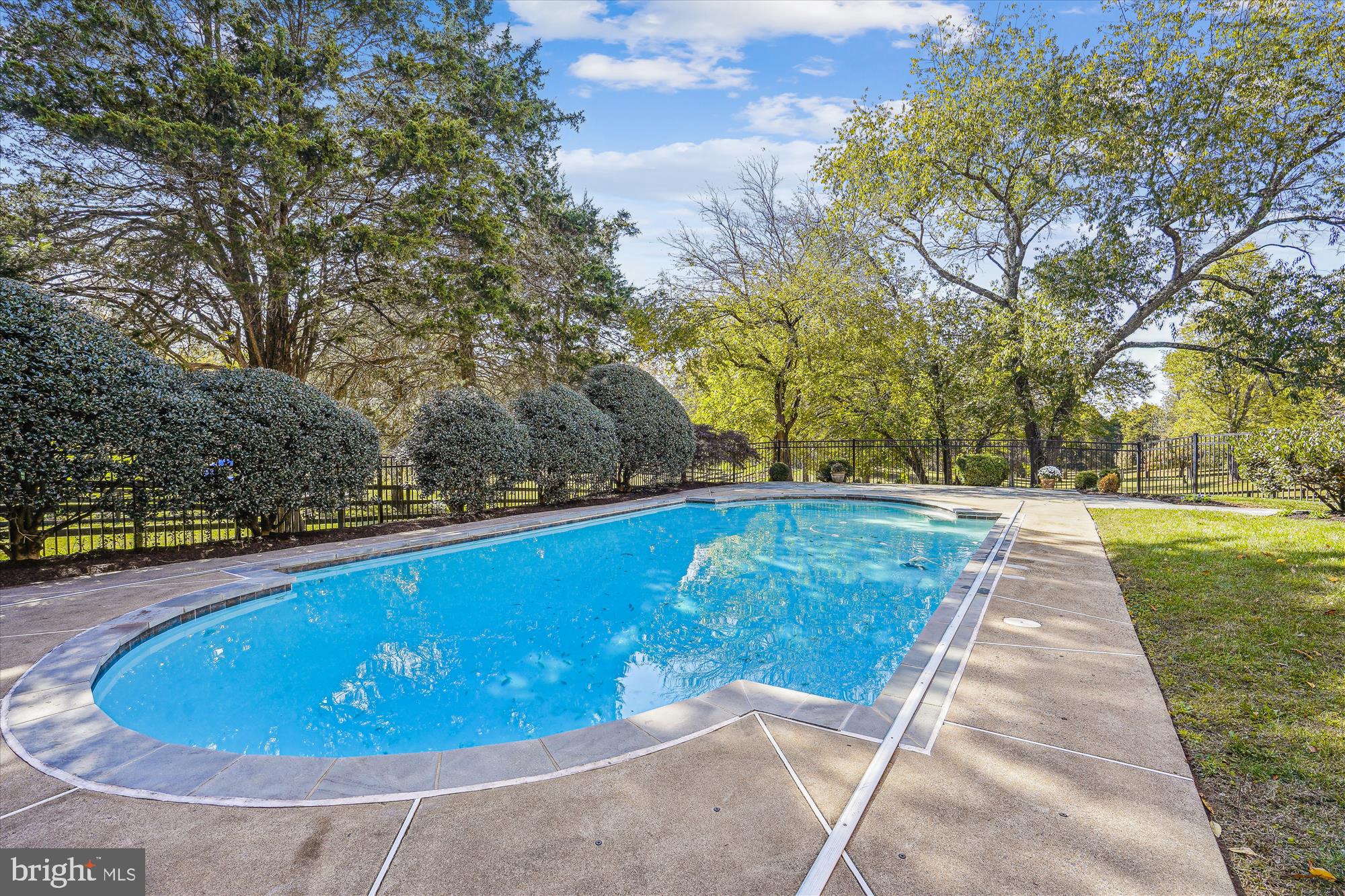 646 Seneca Road Great Falls, VA 22066 - Photo 38 of 52 Roman pool has steps for easy entry.