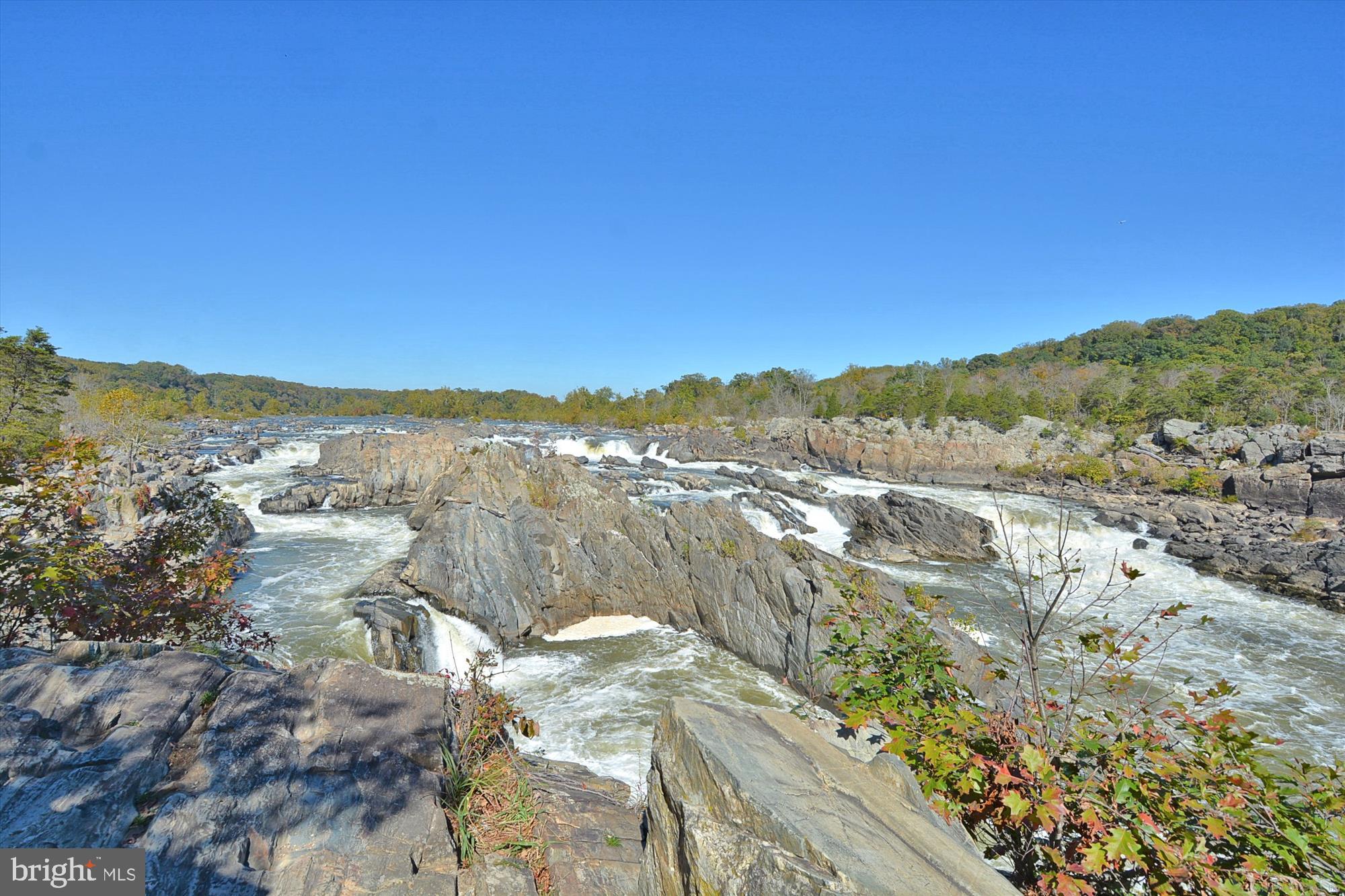 646 Seneca Road Great Falls, VA 22066 - Photo 48 of 52 Stunning Great Falls park nearby.