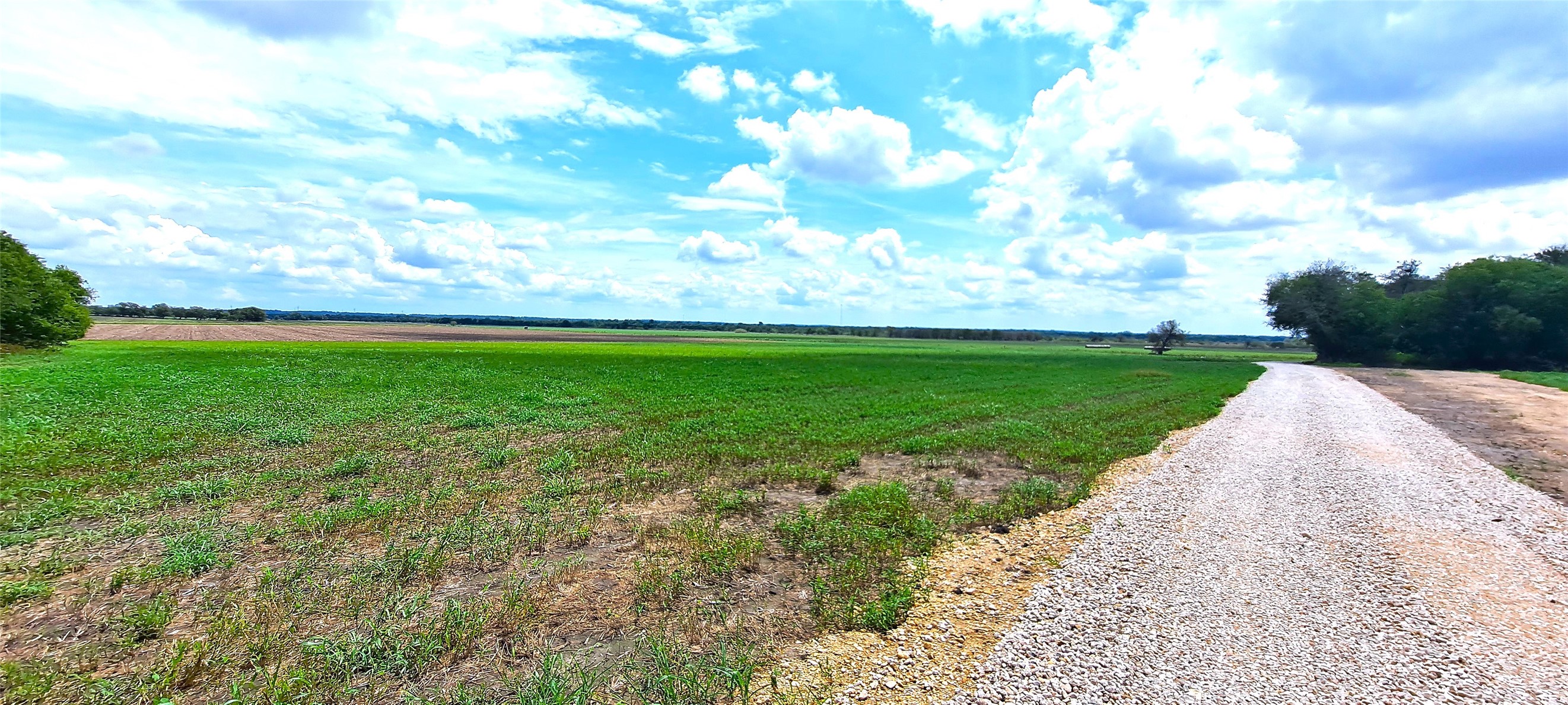 3135 Cr 432 Road Thorndale, TX 76577 - Photo 2 of 9 a view of a yard with an outdoor space