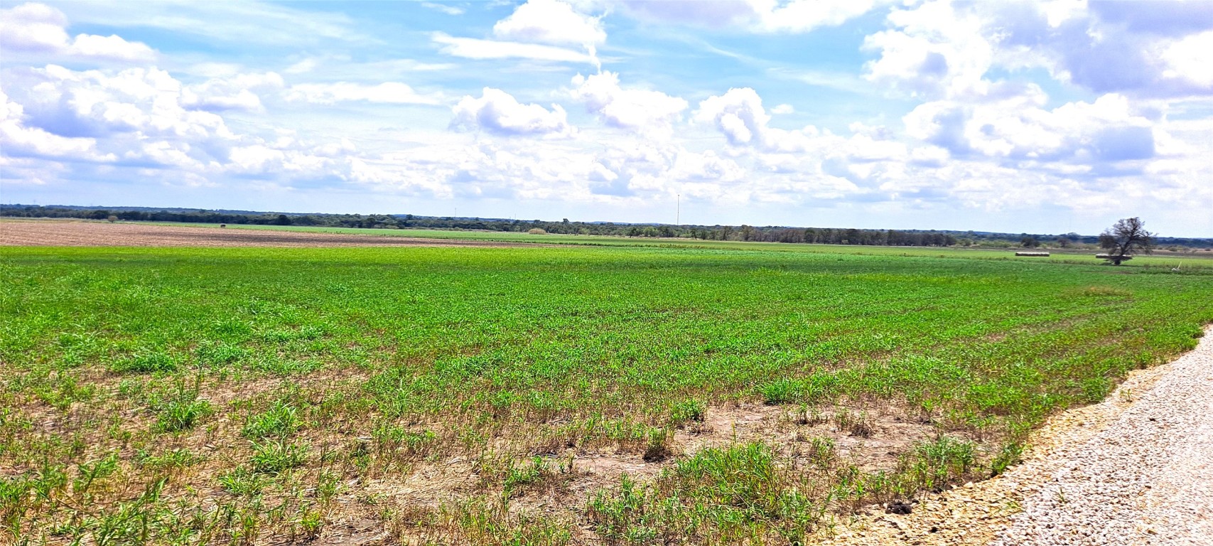 3135 Cr 432 Road Thorndale, TX 76577 - Photo 3 of 9