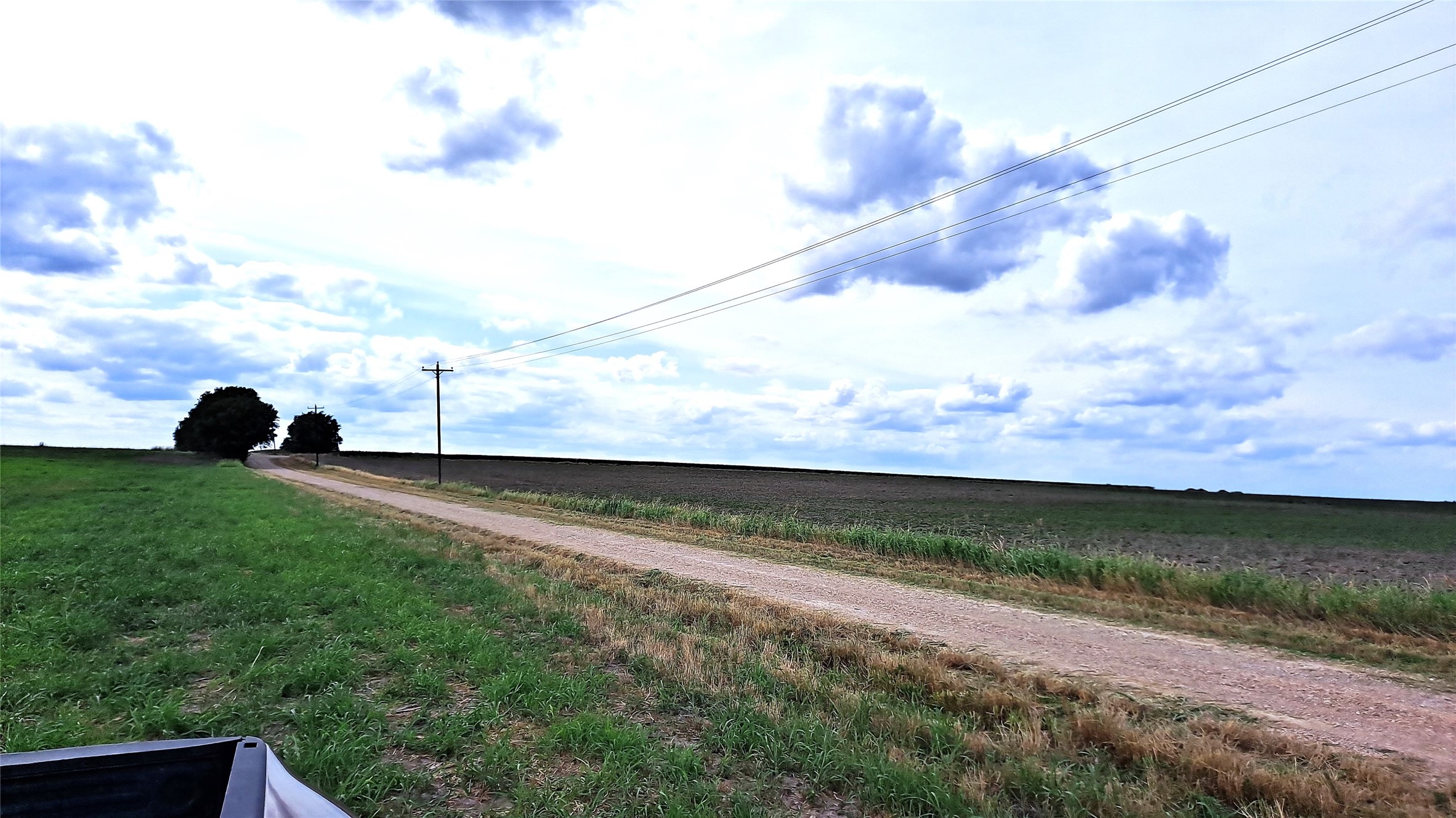 3135 Cr 432 Road Thorndale, TX 76577 - Photo 5 of 9 a view of a yard with a big yard