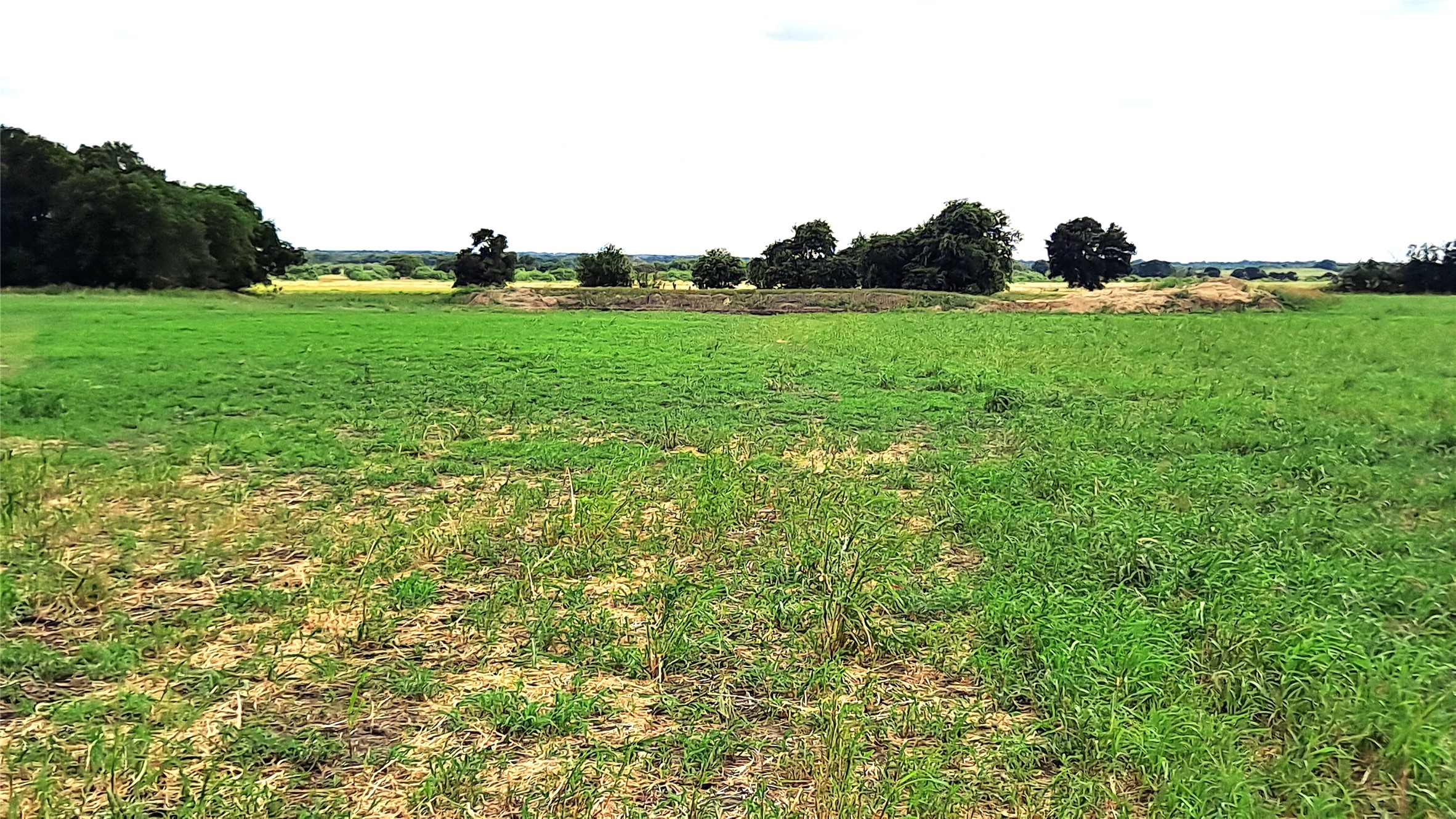 3135 Cr 432 Road Thorndale, TX 76577 - Photo 6 of 9 a view of a garden