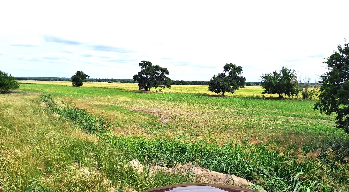 3135 Cr 432 Road Thorndale, TX 76577 - Photo 7 of 9