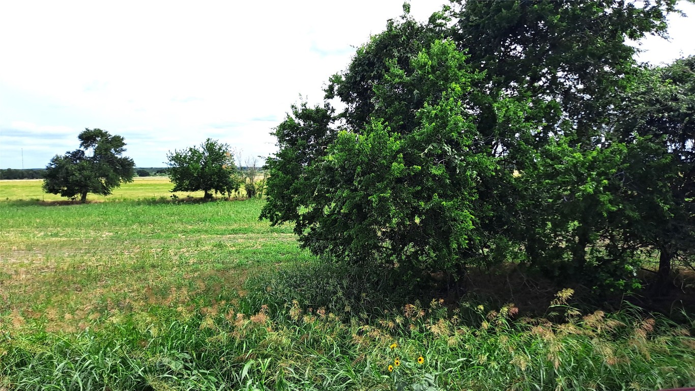 3135 Cr 432 Road Thorndale, TX 76577 - Photo 8 of 9