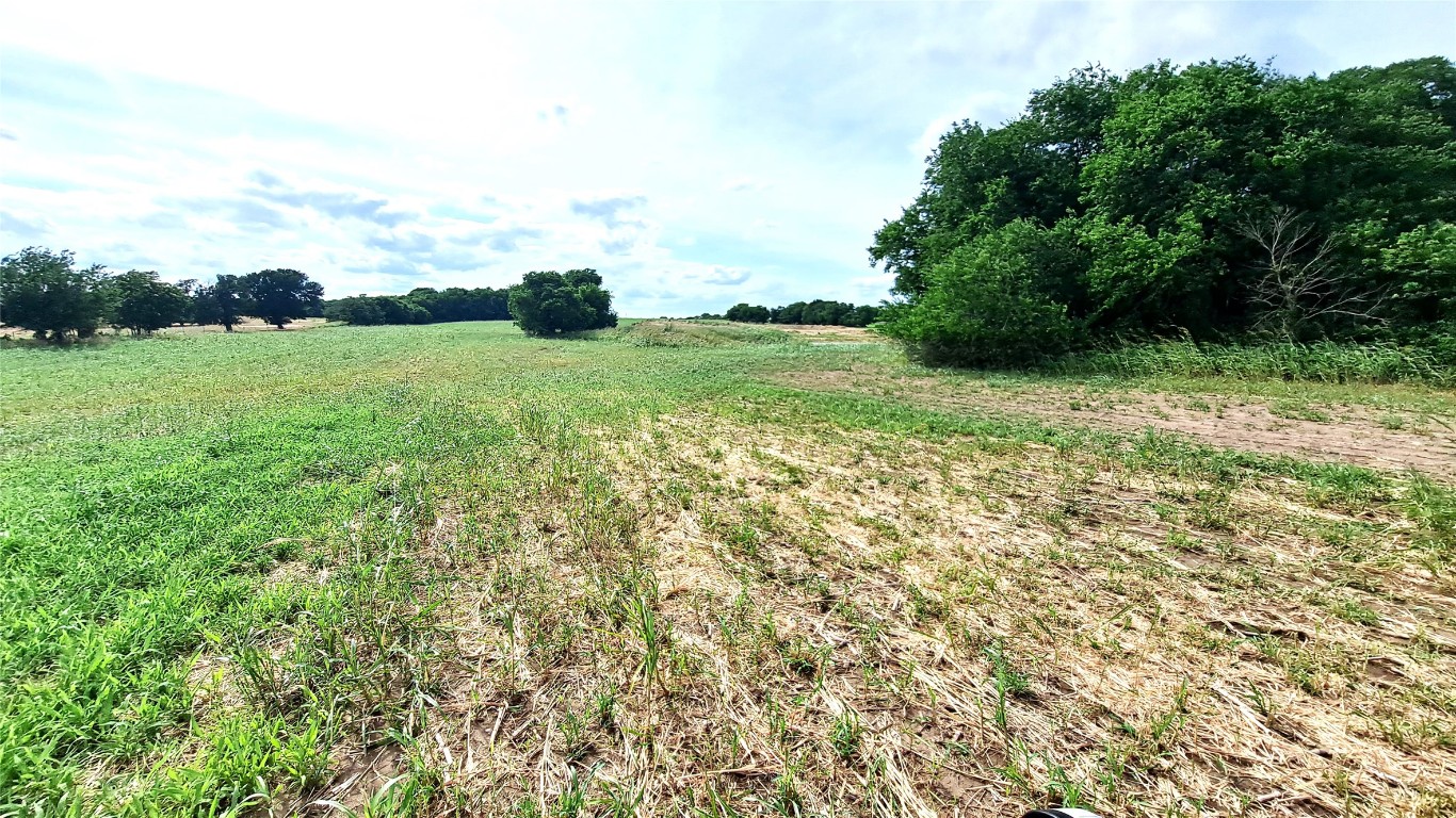 3135 Cr 432 Road Thorndale, TX 76577 - Photo 9 of 9