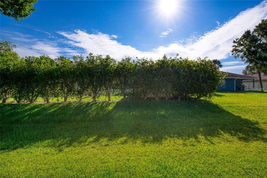 815 8th Street Daytona Beach, FL 32117 - Photo 34 of 50