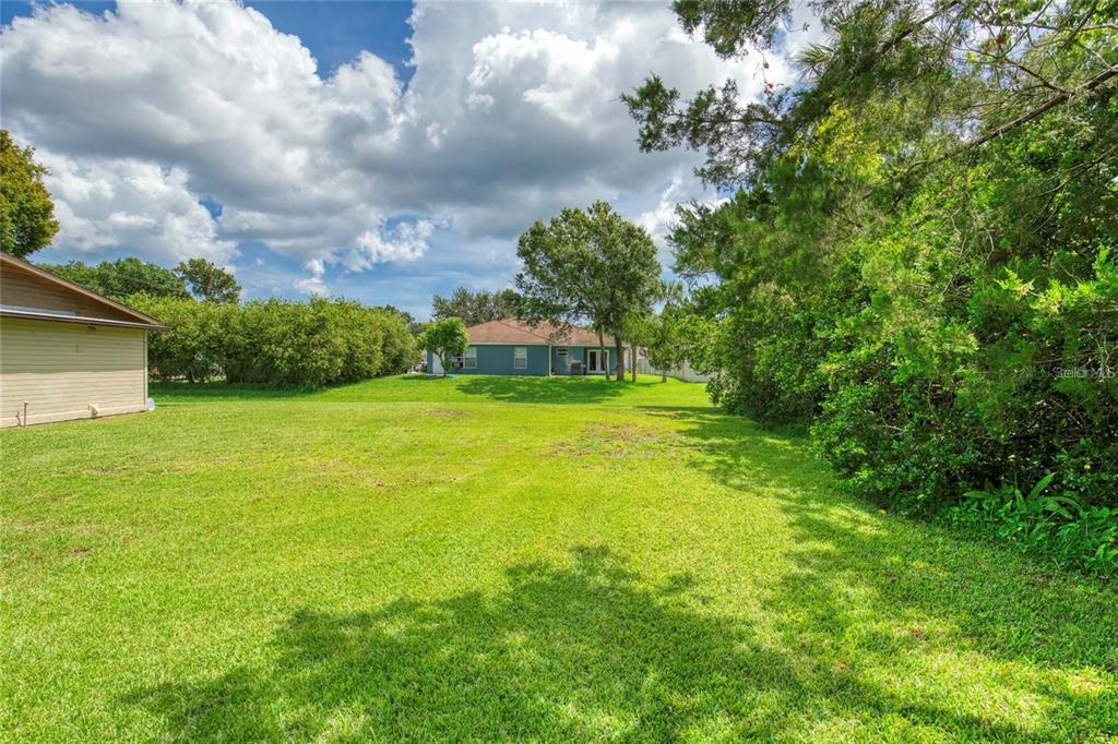 815 8th Street Daytona Beach, FL 32117 - Photo 38 of 50 a view of a yard with an trees