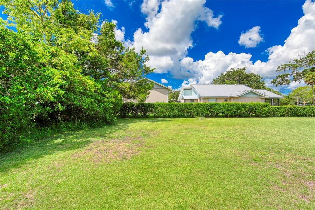 815 8th Street Daytona Beach, FL 32117 - Photo 40 of 50 a view of a large trees with yard