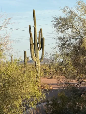 $2,500 | 2166 East Saddle Butte Street, Apache Junction, AZ 85119