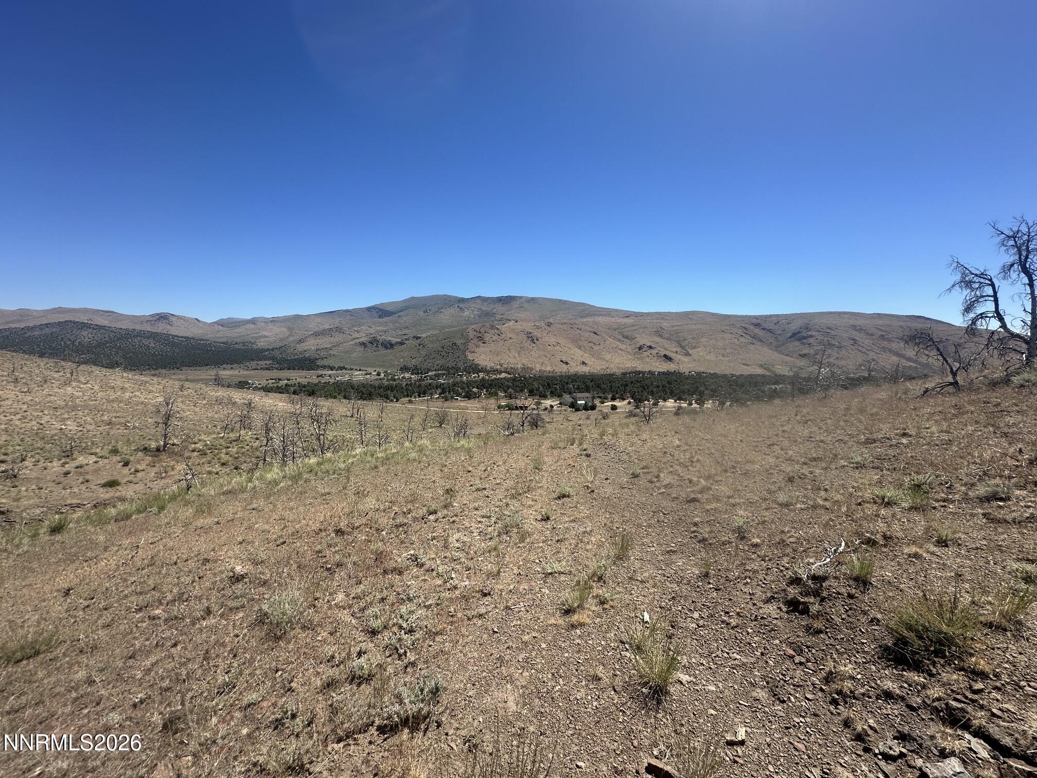 930 Cavelti Road Gardnerville, NV 89410 - Photo 10 of 19 IMG_3329