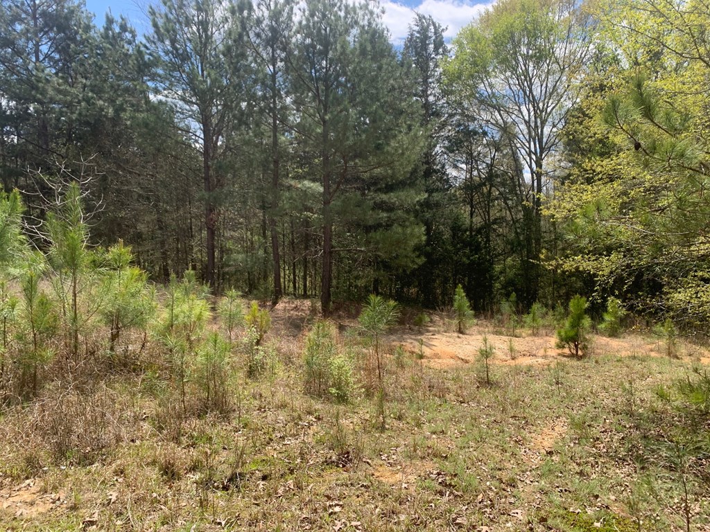 146 Horseshoe Road Iva, SC 29655 - Photo 12 of 15