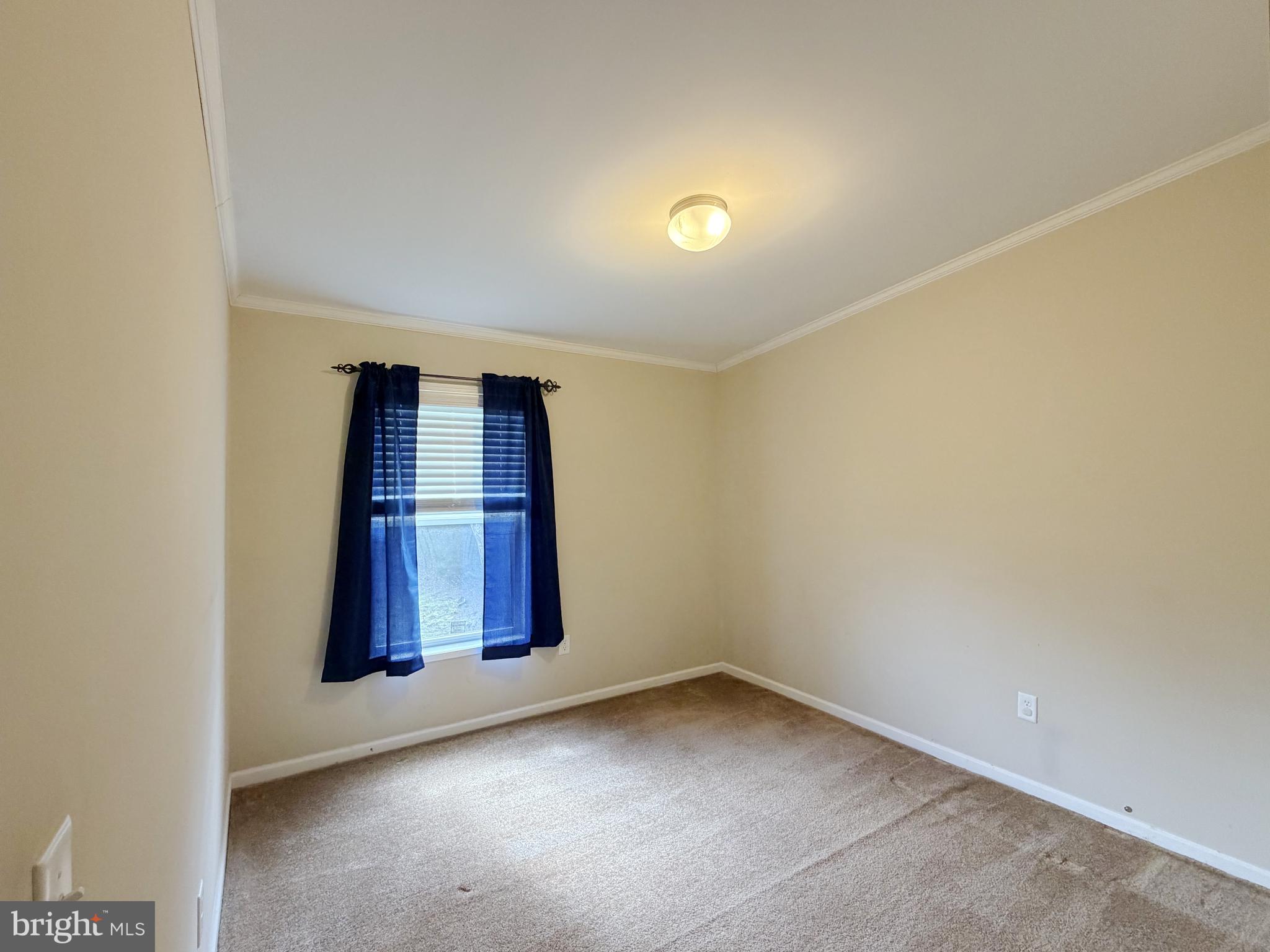 7287 Pearsons Corner Road Dover, DE 19904 - Photo 14 of 25