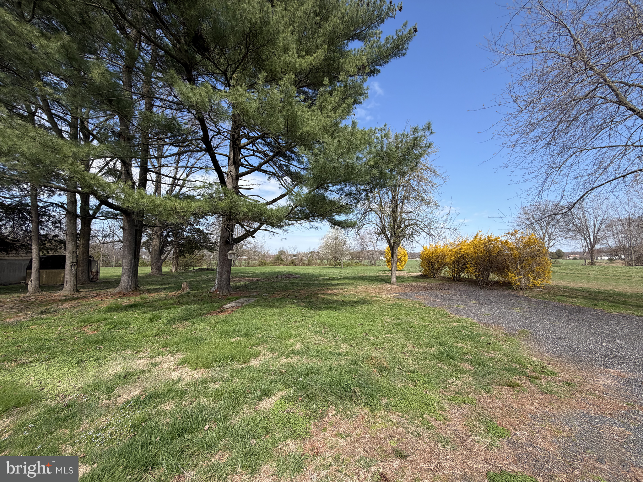 7287 Pearsons Corner Road Dover, DE 19904 - Photo 22 of 25