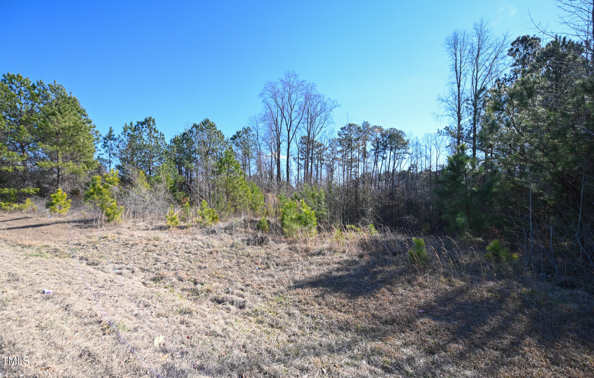 Lot 2 South Shiloh Road Garner, NC 27529 - Photo 4 of 4 003