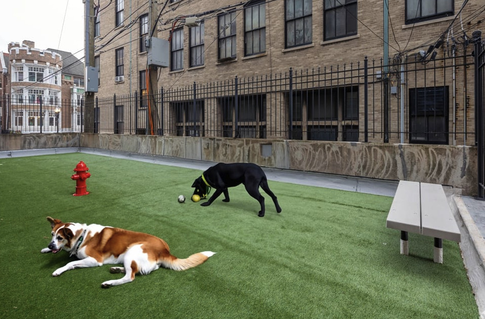 5600 North Sheridan Road, Unit 4A Chicago, IL 60660 - Photo 12 of 14 a house view with a garden space