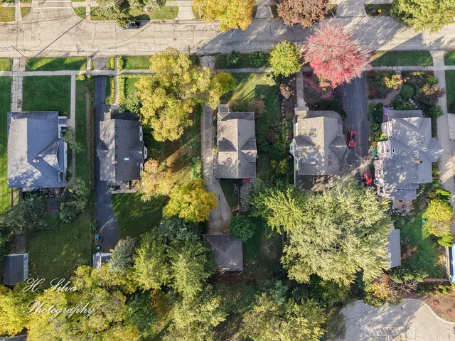 a view of a park with large trees
