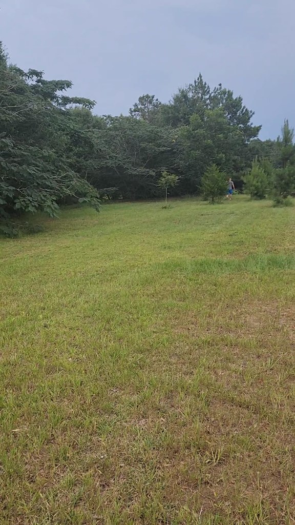 26 Ridge Drive Headland, AL 36345 - Photo 2 of 4