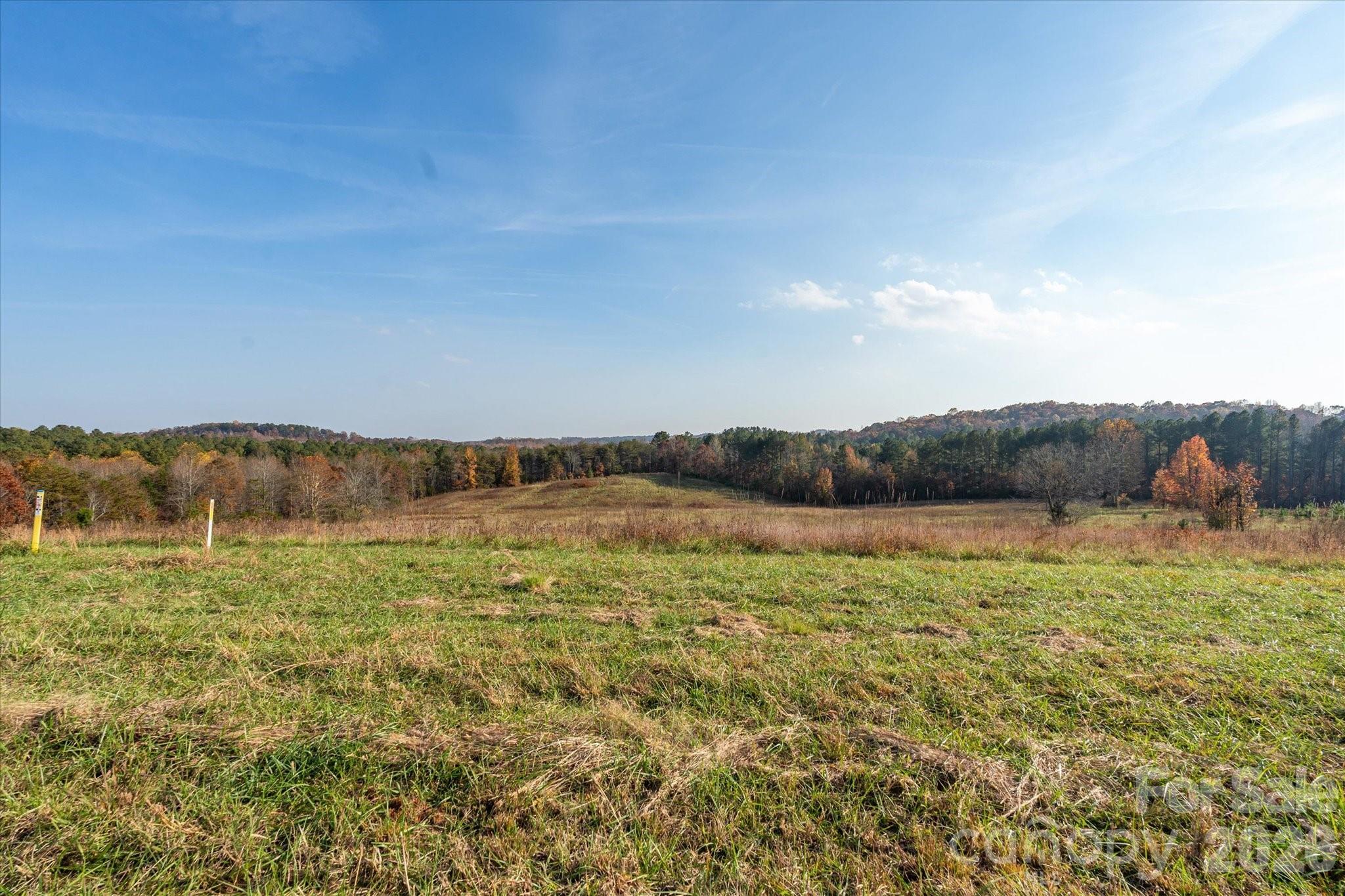 1888 Pea Ridge Road Mill Spring, NC 28756 - Photo 12 of 31 a view of lake with mountain