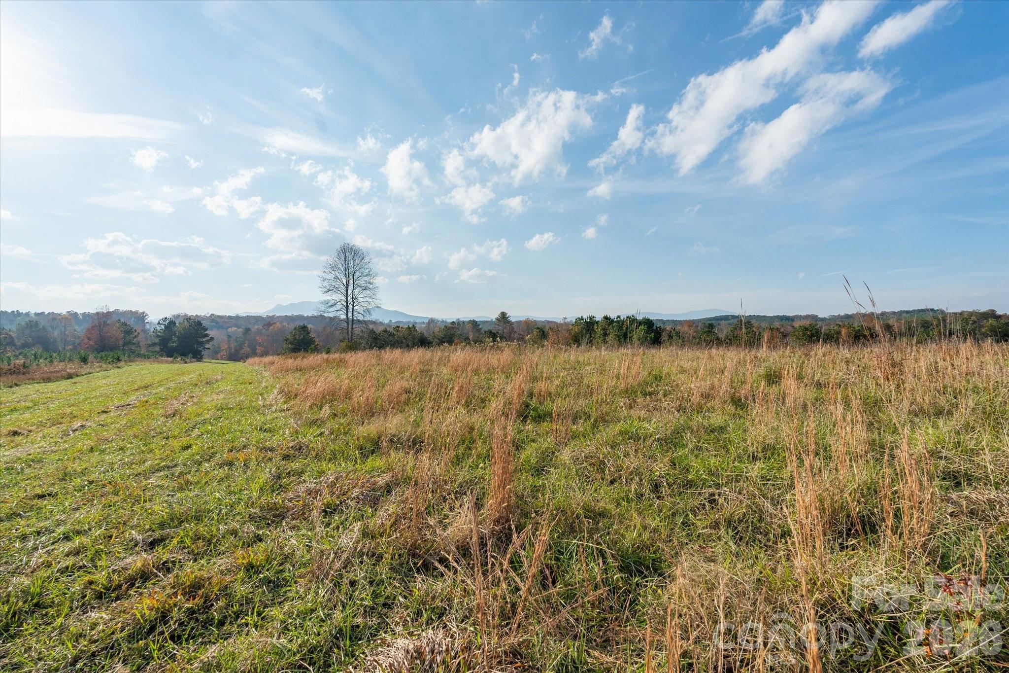 1888 Pea Ridge Road Mill Spring, NC 28756 - Photo 13 of 31 a view of a lake view