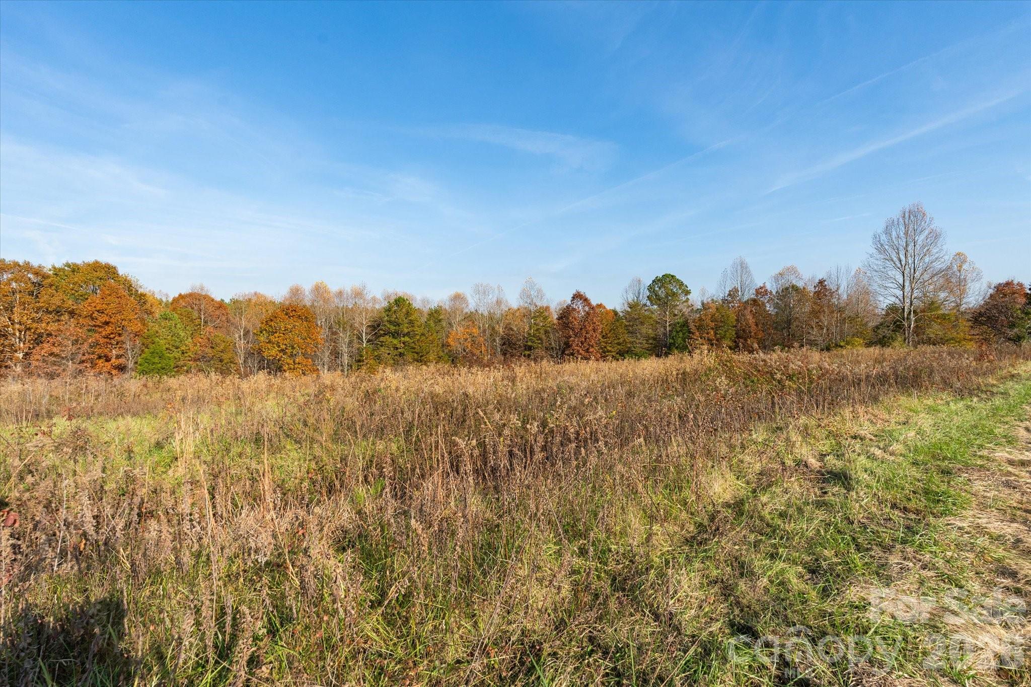 1888 Pea Ridge Road Mill Spring, NC 28756 - Photo 14 of 31