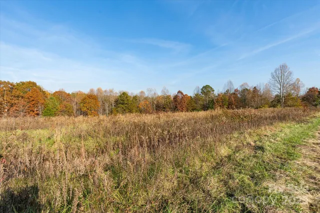 a view of a yard covered with trees