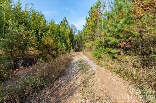 $3,195,000 | 1888 Pea Ridge Road, Mill Spring, NC 28756