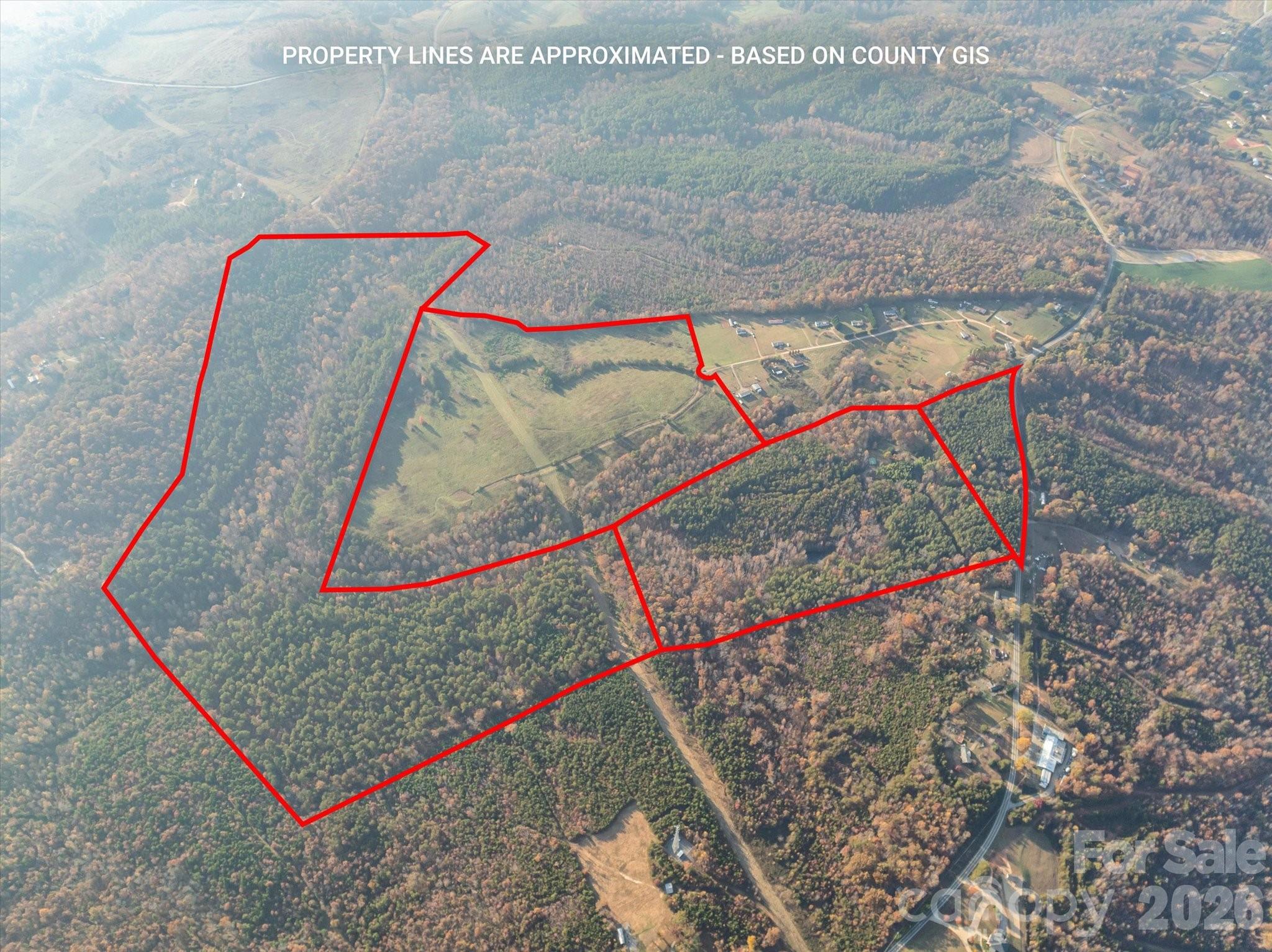 1888 Pea Ridge Road Mill Spring, NC 28756 - Photo 27 of 31