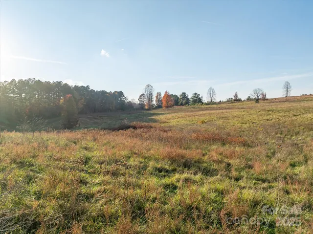 a view of a yard with trees in the background