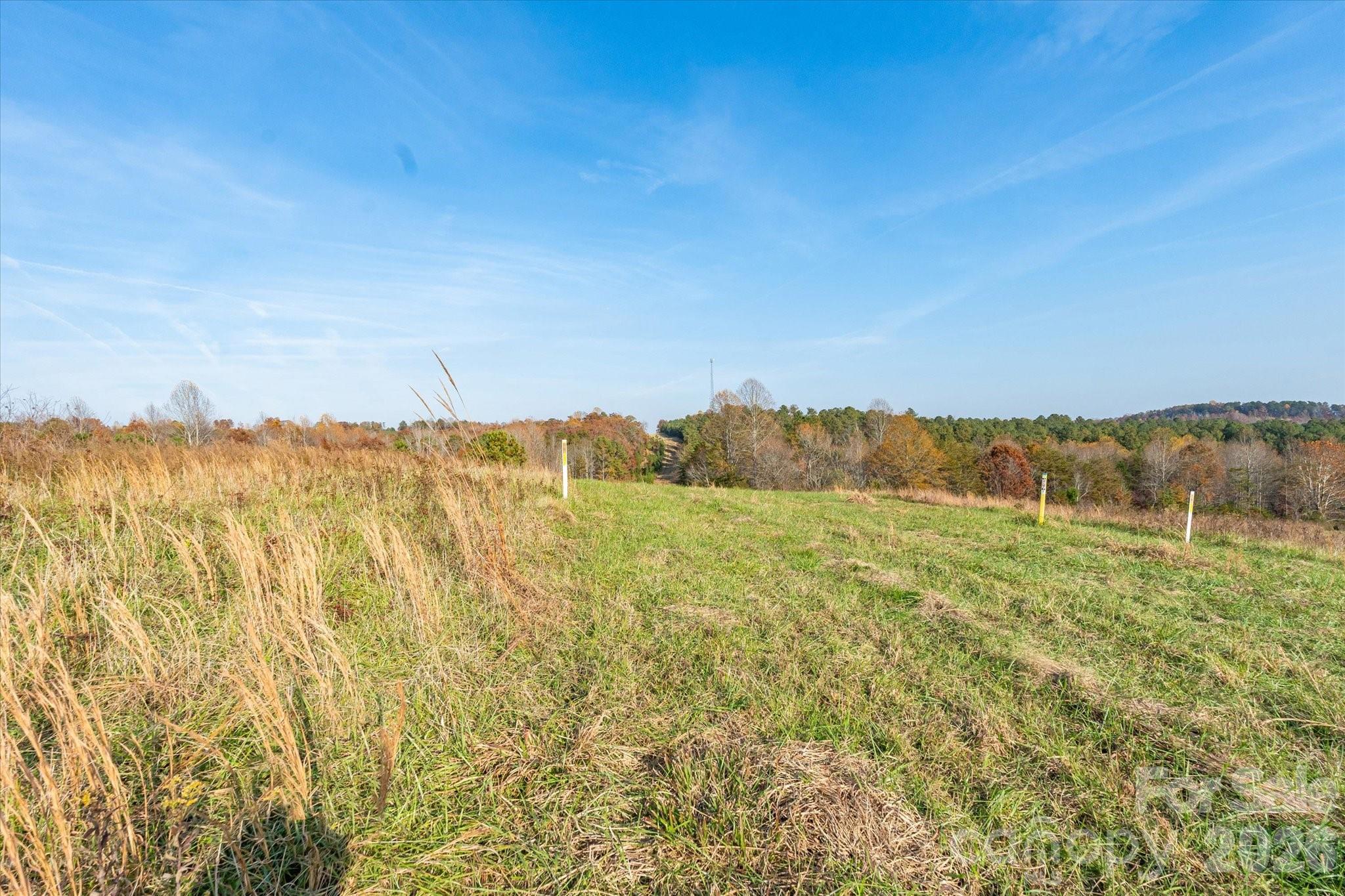 1888 Pea Ridge Road Mill Spring, NC 28756 - Photo 9 of 31 a view of an ocean