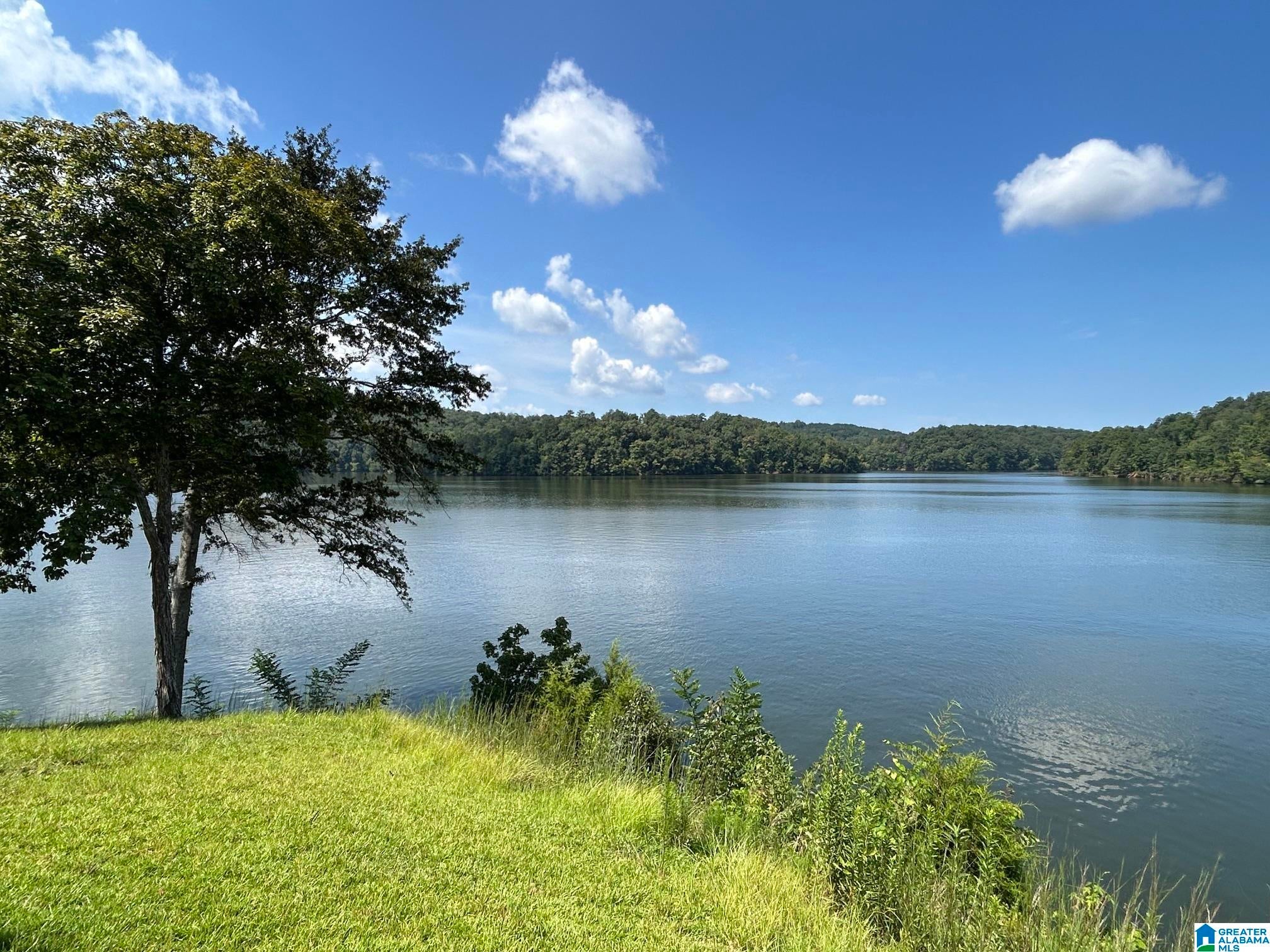 2040 Mohawk Cliff Road Ohatchee, AL 36271 - Photo 18 of 49 Gallery Image 18