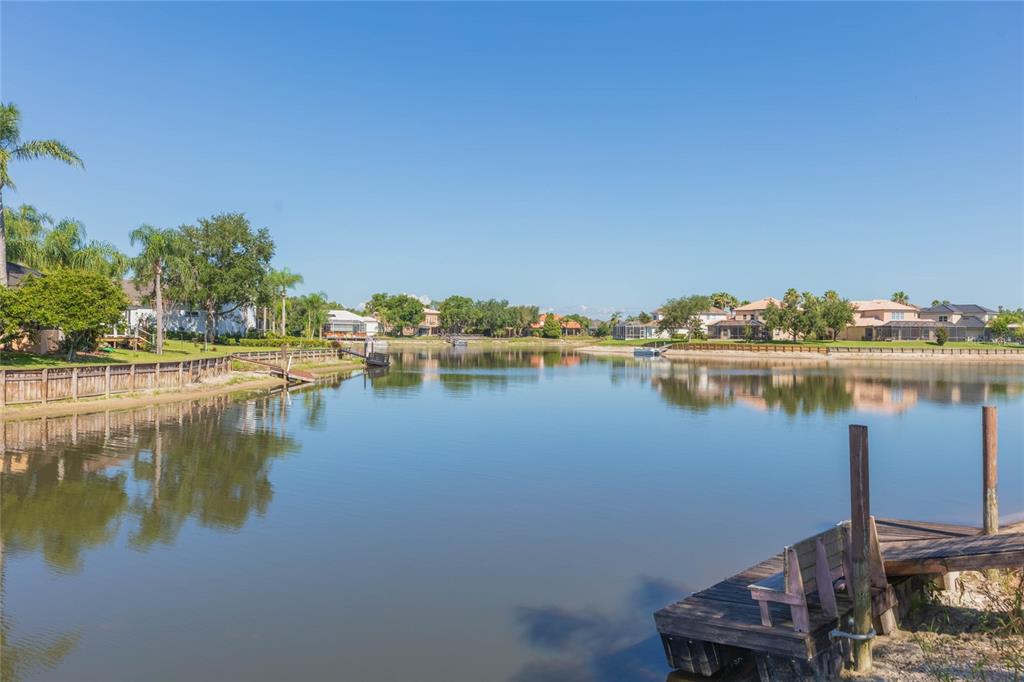 18018 Java Isle Drive Tampa, FL 33647 - Photo 6 of 14
