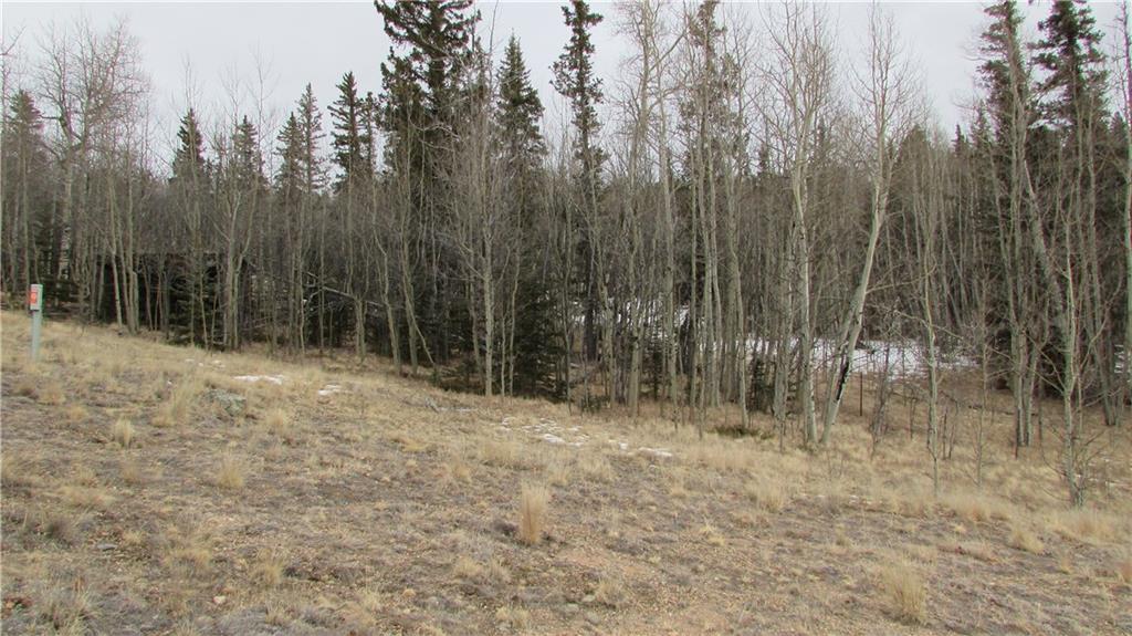 912 Haida Road Como, CO 80456 - Photo 2 of 6 Gallery Image 2