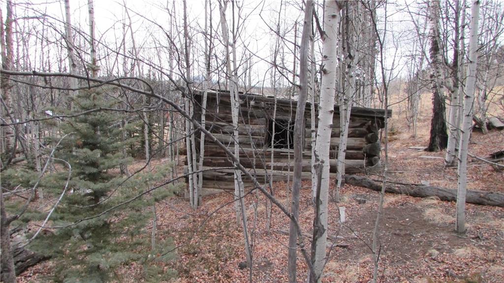 912 Haida Road Como, CO 80456 - Photo 3 of 6 Gallery Image 3