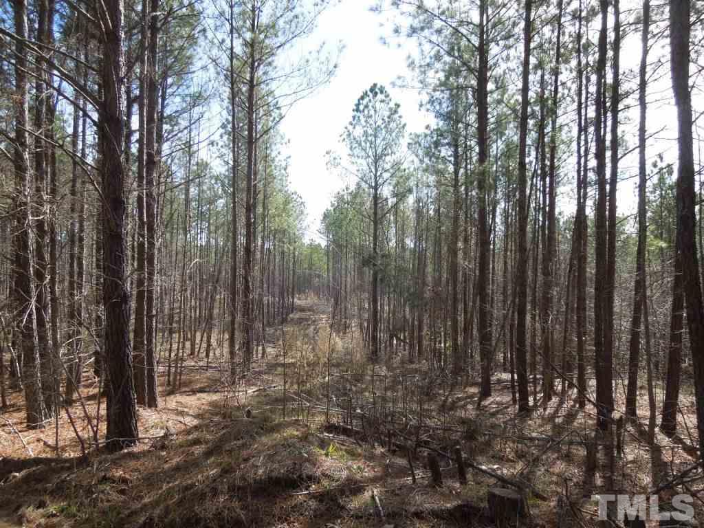 2503 Baptist Road Durham, NC 27703 - Photo 11 of 16 Gallery Image 11