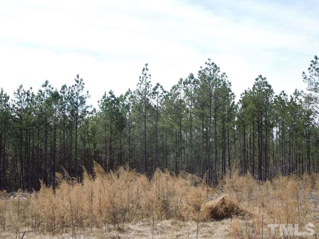 2503 Baptist Road Durham, NC 27703 - Photo 7 of 16 Gallery Image 7