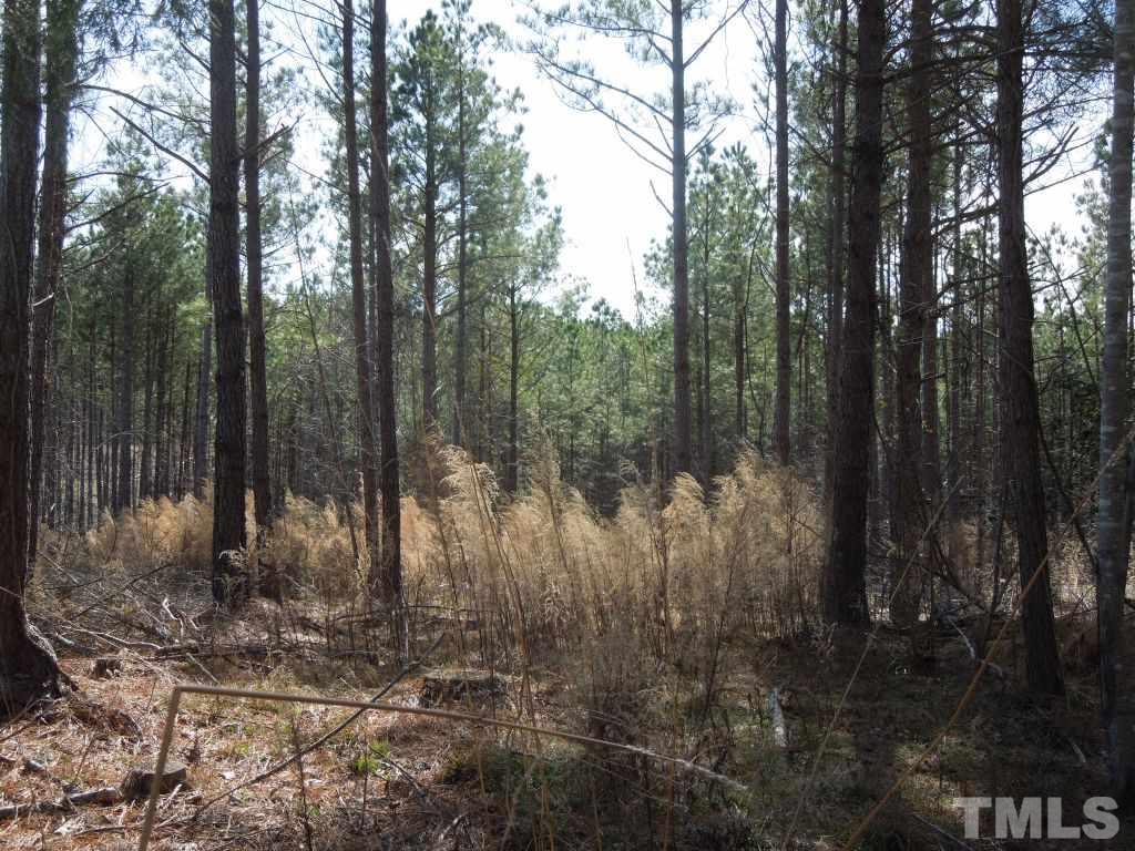 2503 Baptist Road Durham, NC 27703 - Photo 10 of 16 Gallery Image 10
