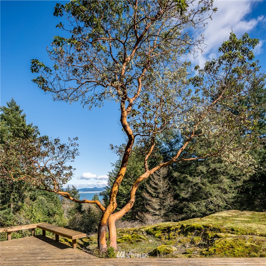 62 Still Road Lopez Island, WA 98261 - Photo 6 of 25