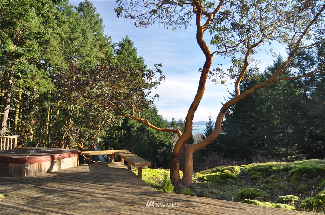 62 Still Road Lopez Island, WA 98261 - Photo 7 of 25