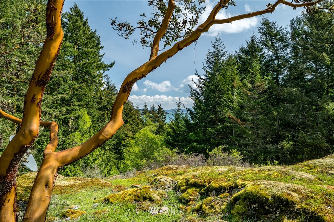 62 Still Road Lopez Island, WA 98261 - Photo 8 of 25