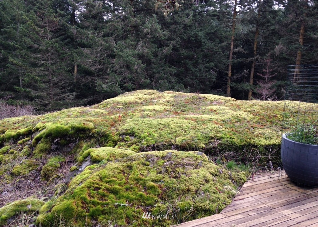 62 Still Road Lopez Island, WA 98261 - Photo 10 of 25
