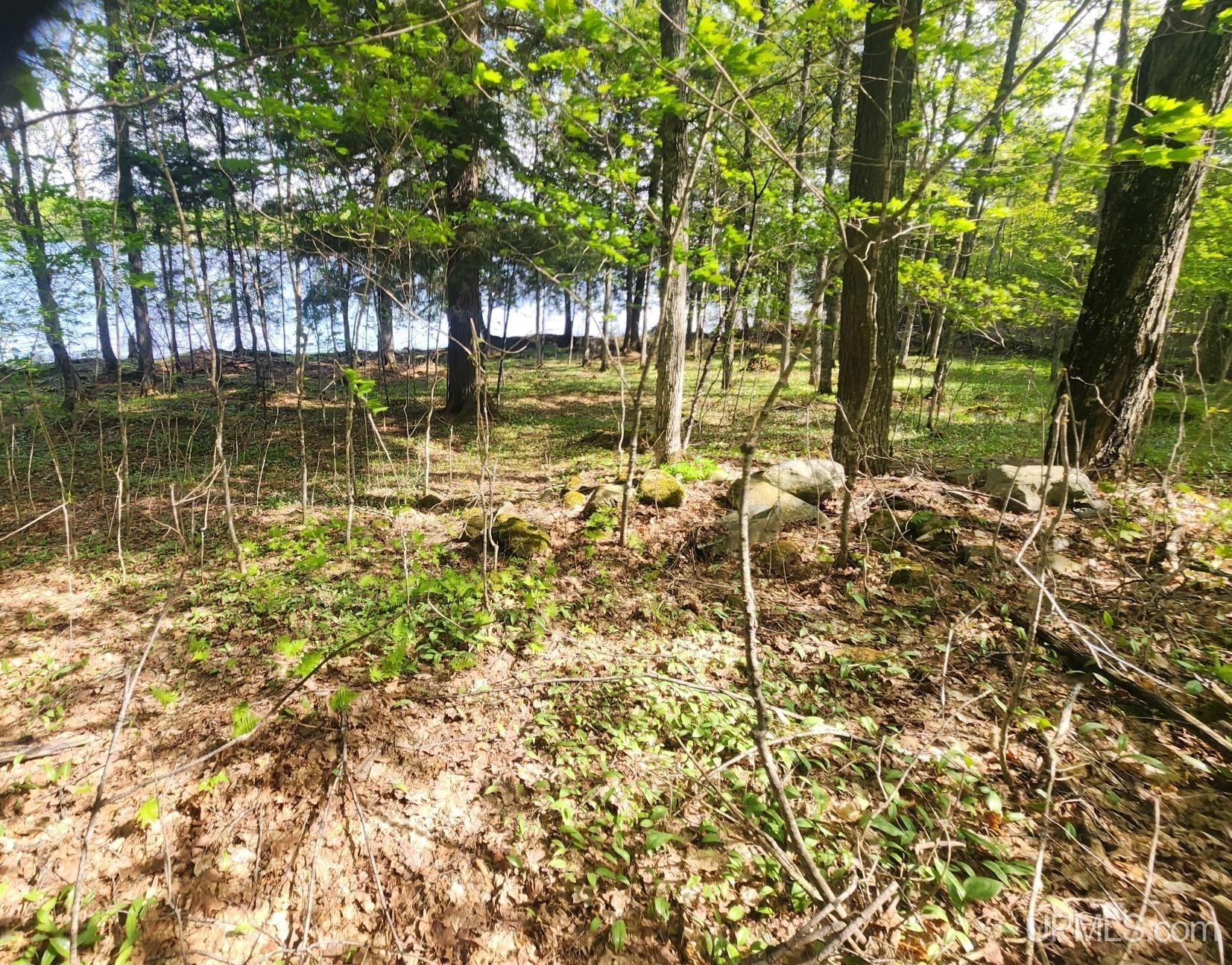 Lot 18 University Road Iron River, MI 49935 - Photo 8 of 36 Gallery Image 8