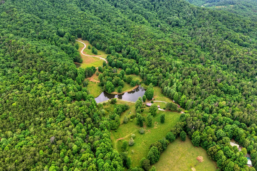 20.11 Mountain View Road McCaysville, GA 30555 - Photo 27 of 51