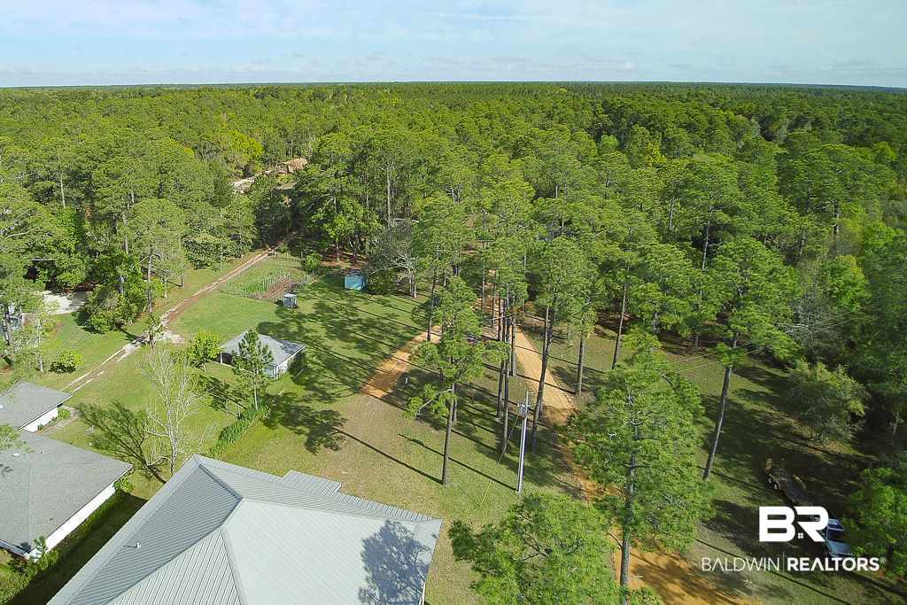 29382 Josephine Drive Elberta, AL 36530 - Photo 46 of 46 Property View