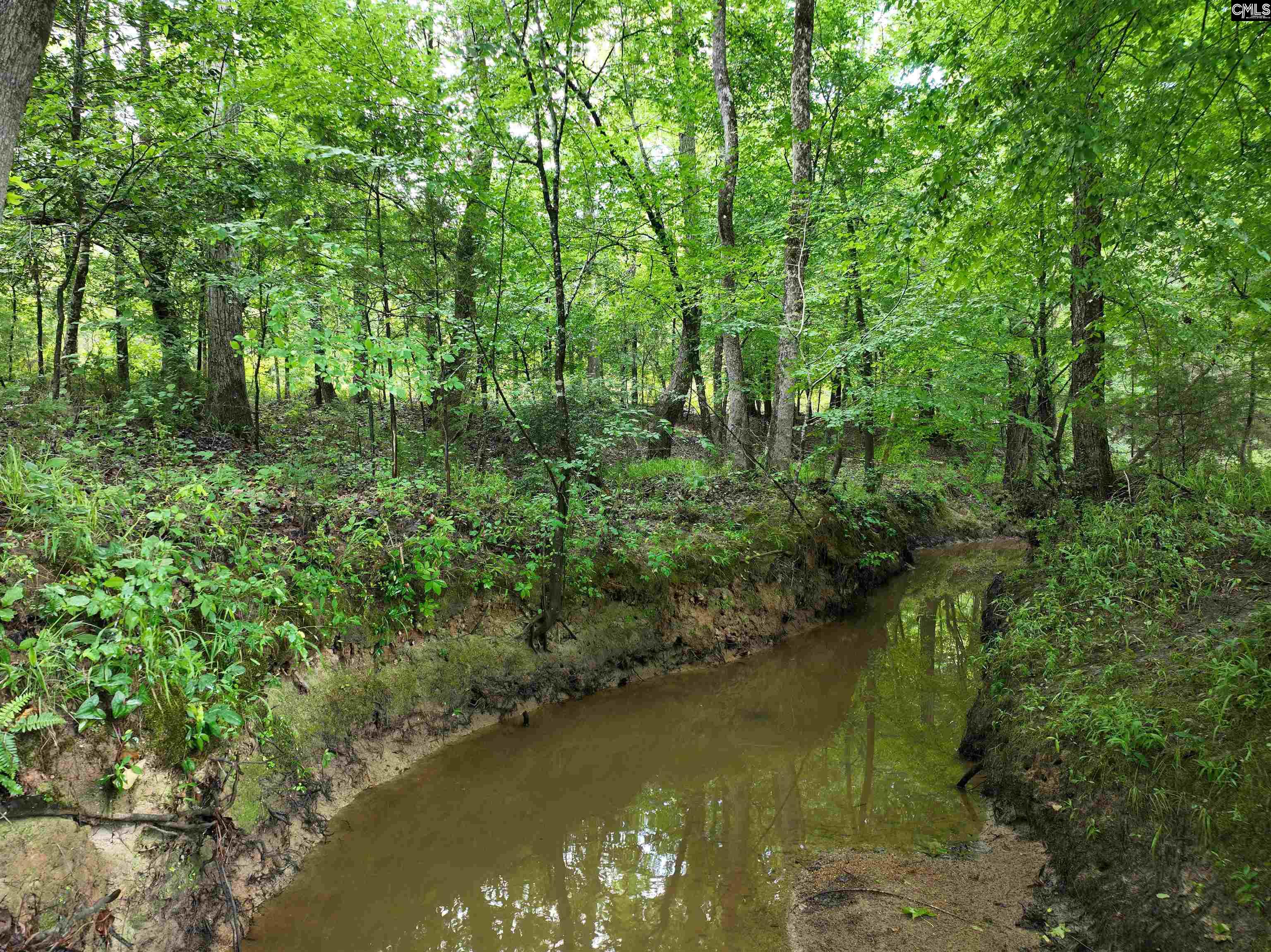 0 Rocky Branch Road Little Mountain, SC 29075 - Photo 11 of 24 a view of lake with green space