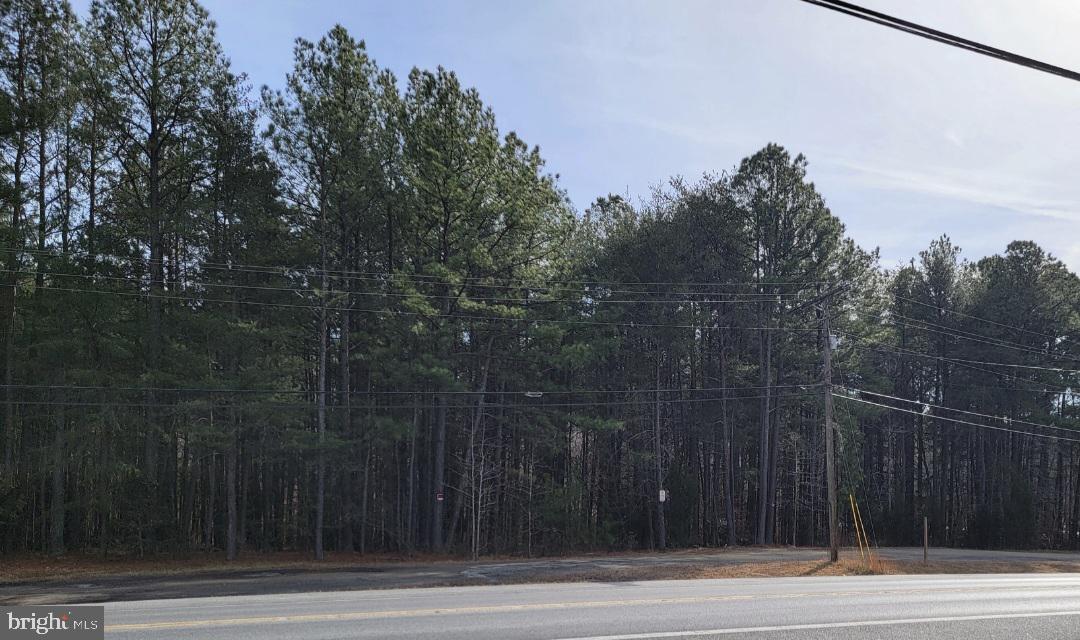 St. Andrews Church Road - Wooded Lot