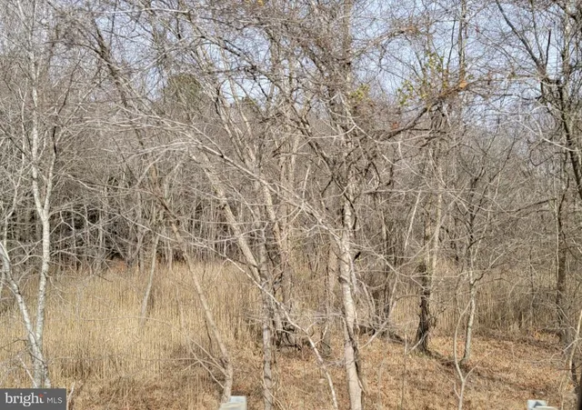 $175,000 | St Andrews Church Road, Leonardtown, MD 20650