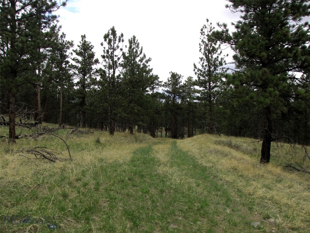 Tbd Tbd Wild Turkey Ridge Road Columbus, MT 59019 - Photo 22 of 55 Gallery Image 22