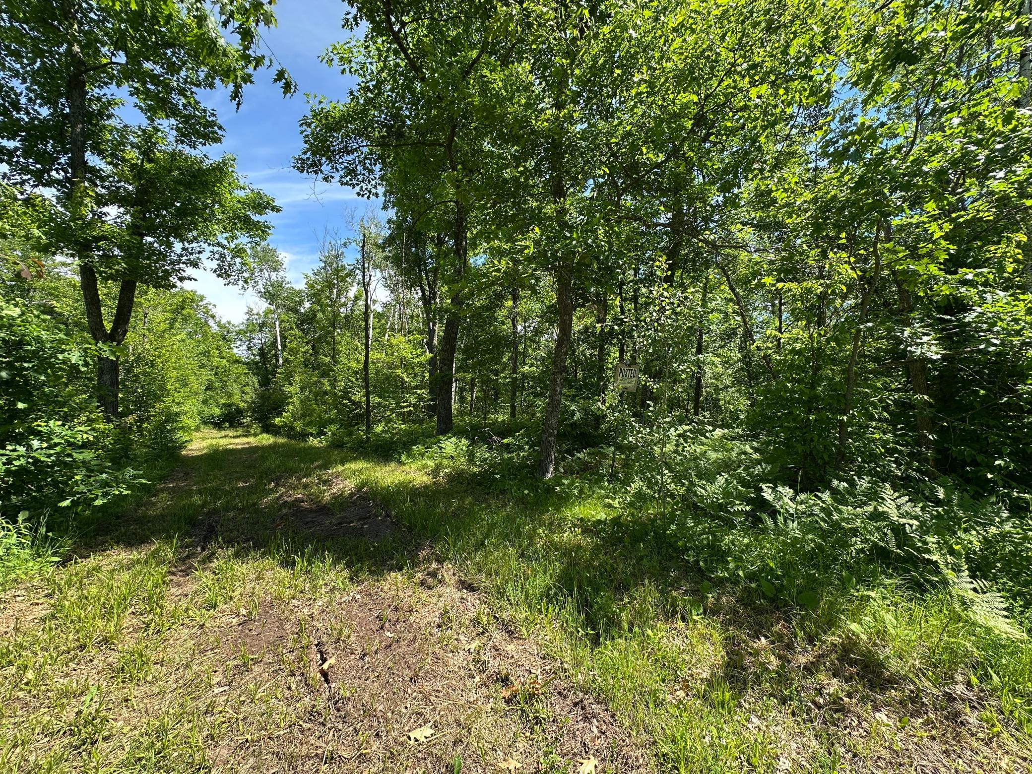 Tbd Oak Leaf Road Kerrick, MN 55756 - Photo 9 of 19