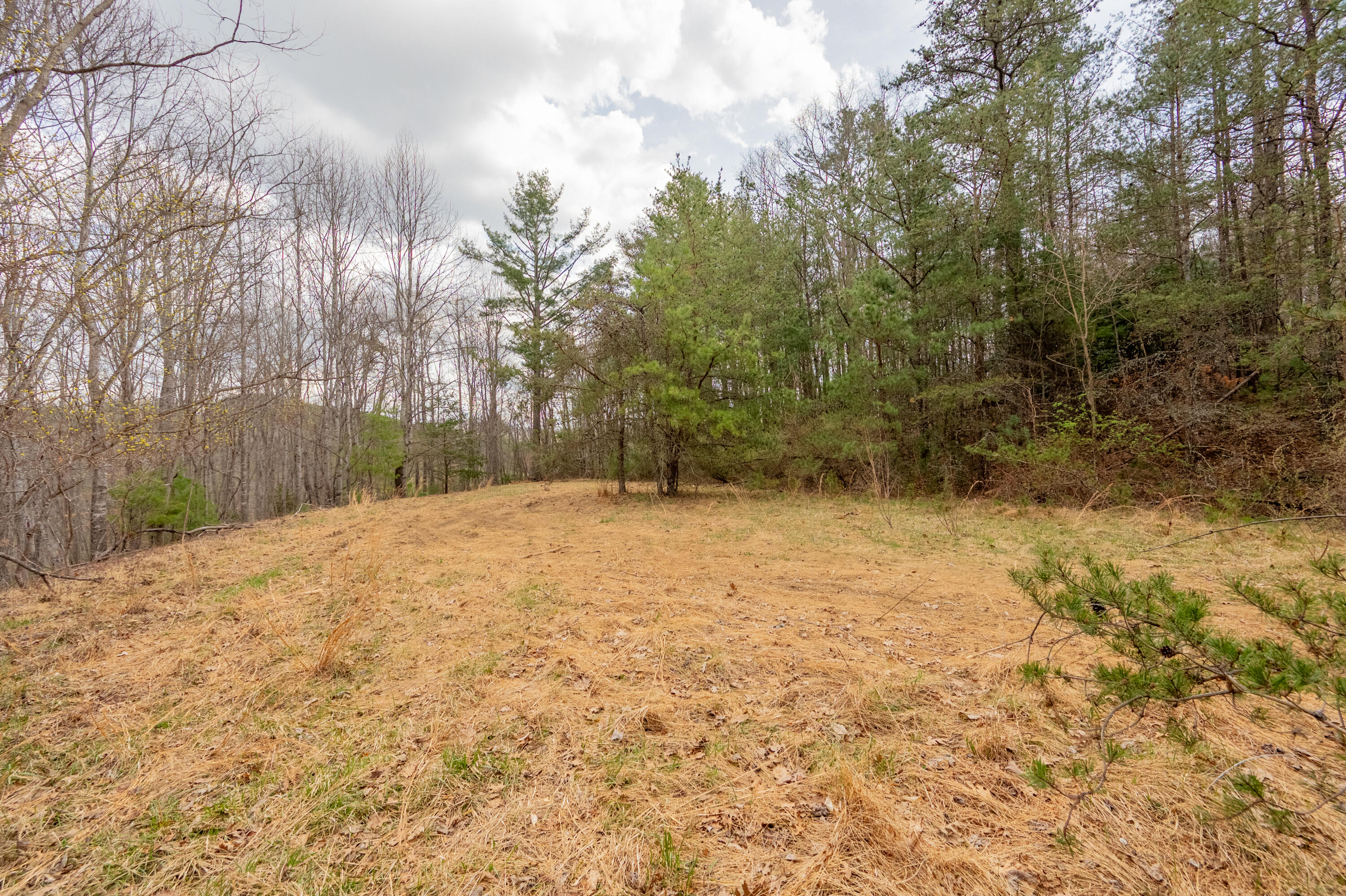 183 Pine Mountain Road Northeast Floyd, VA 24091 - Photo 51 of 54 floyd-89