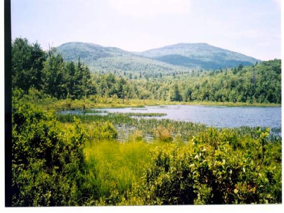 0 Mountain Road Salisbury, NH 03054 - Photo 1 of 5